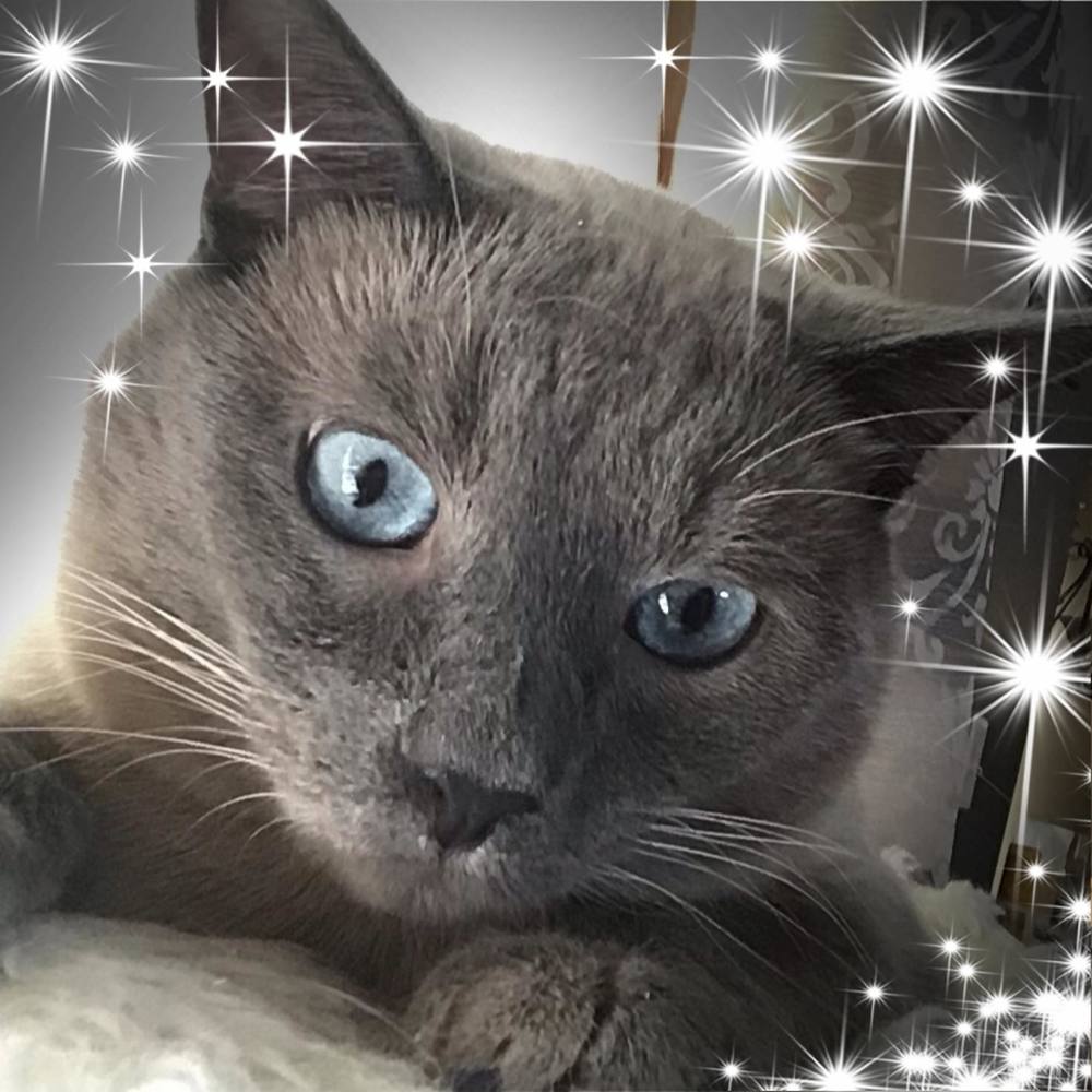 Meet your Posher, Roxi